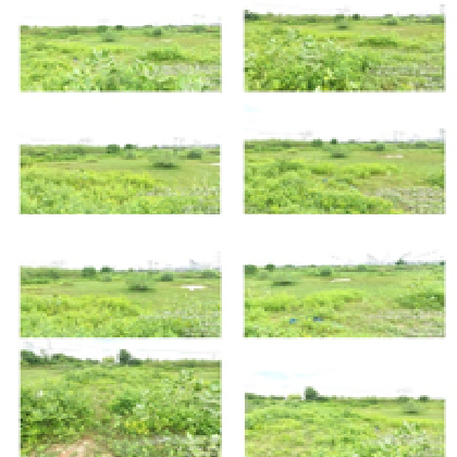 MONIKA FINE ART-22052501